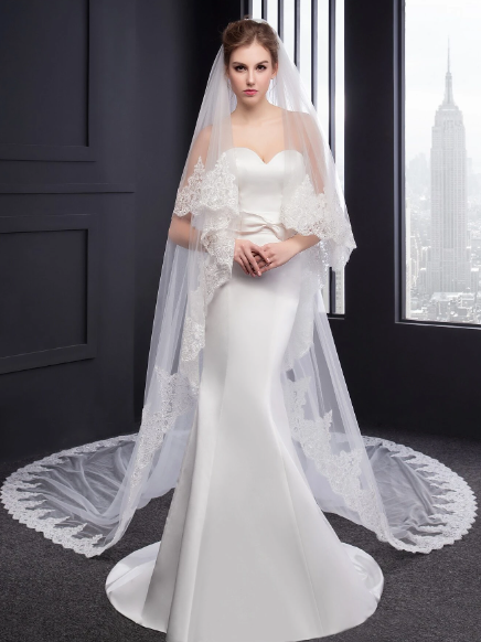 Long Single Tier Cathedral Wedding Veil with Floral Lace Appliqued Edge