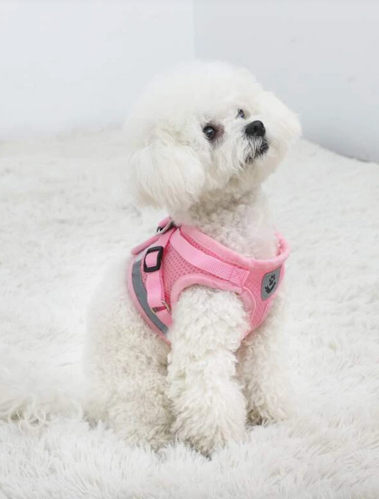 Pink Breathable Mesh Dog Harness & Leash Reflective Strip