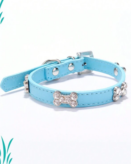 Blue Crystal Bone Pet Dog Collar