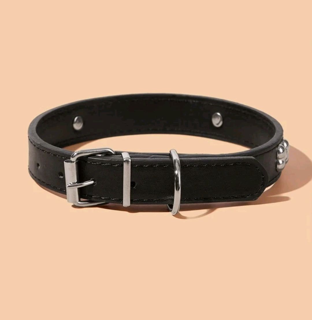 Black Bone Decor Dog Collar