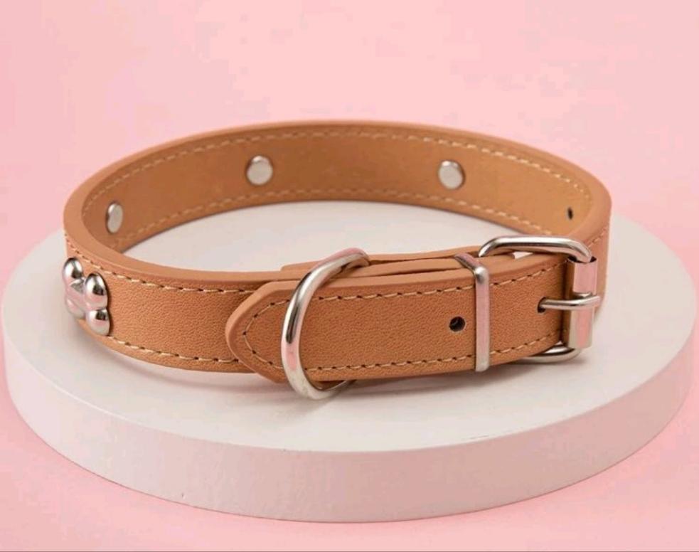 Brown Bone Decor Dog Collar