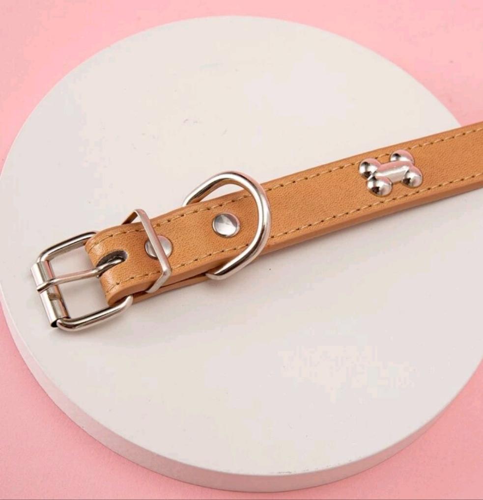 Brown Bone Decor Dog Collar